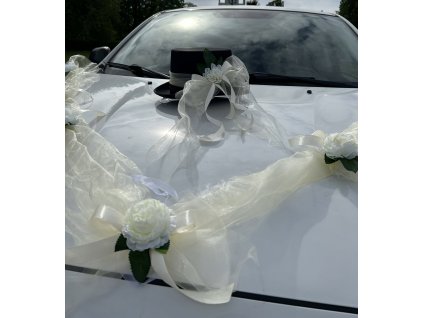 DB570805 D0EA 45D8 9716 4F6866D41689