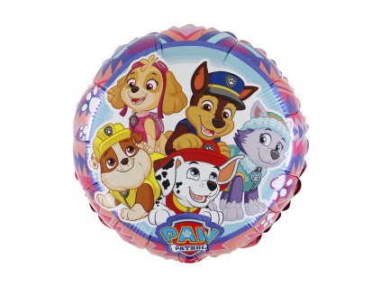 L18047 R18 Paw Patrol Adventure