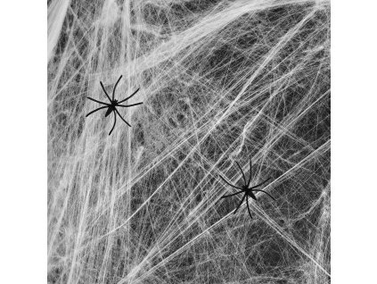 biel2 1802024f 93d3 4c52 9b71 3369846a8125 (1)