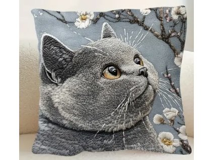 5CD89C29 66BE 4104 8EBD D412762EFC3B