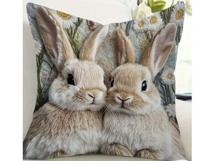 C70C54FE DB01 47EA A017 E920794B135C