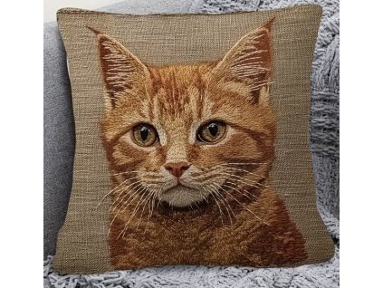 00FF4FEF 497A 4061 90A6 1268B462E60C