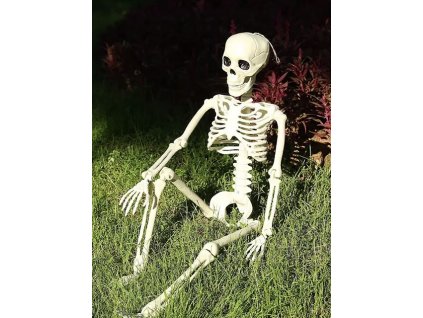 FCDB06E8 D999 4272 BEEF 580A8402F189