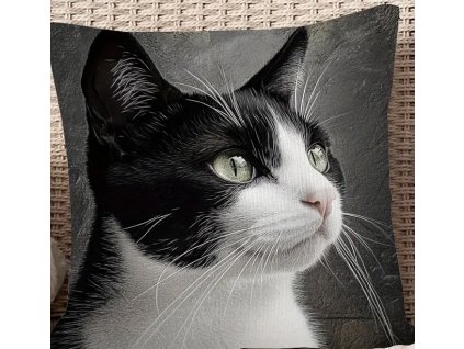 23FBBFFE 381F 44EA 99CC 96524EF7C012