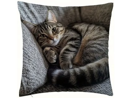 B7B16E7E B184 47A9 8A04 F07986F06252