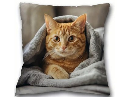 A4F0639D 497B 41EC AA0D 90A5B97EF9F8