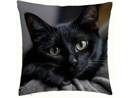 0F33C2D7 80BC 456F 82DF DC034184485C