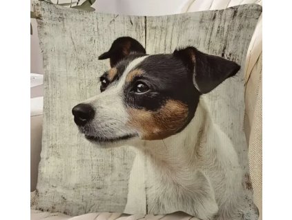 2C6CAA43 A46A 45BF BEB9 0B99DD4D7265