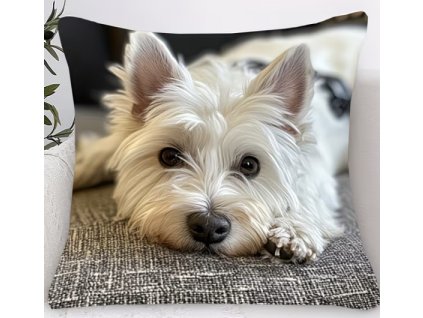 B0F7A158 C929 46C2 BF76 1158CB726202