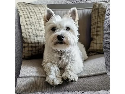 B299C0A9 25C4 4943 85DB FC92CC484762