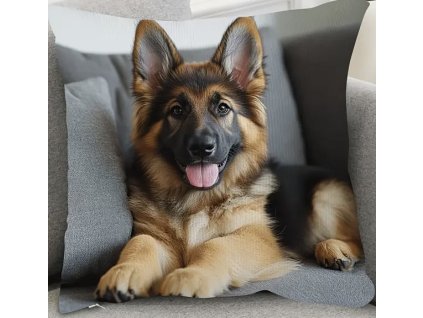 6E2FAC5D D52C 4C03 B565 B25D095A30A6