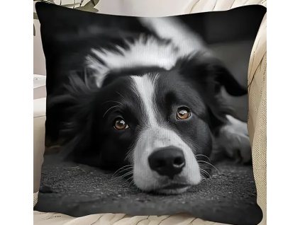 63FCF85D C785 4F09 8CE5 23D8963FF0D8