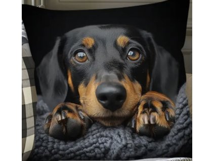 8E9C281A A273 4C4D 83BD 3E05E3FEF3F3