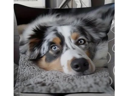 63E024E9 ABA2 40E2 AC21 FFA46796C108