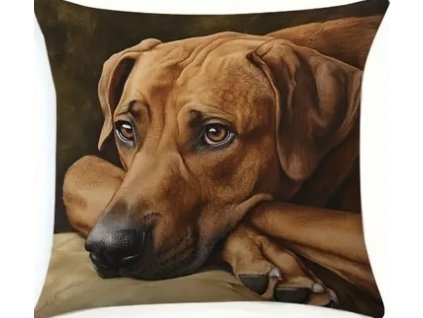 E9F434FD 478D 4BBC A3C5 98AF3AAD3411