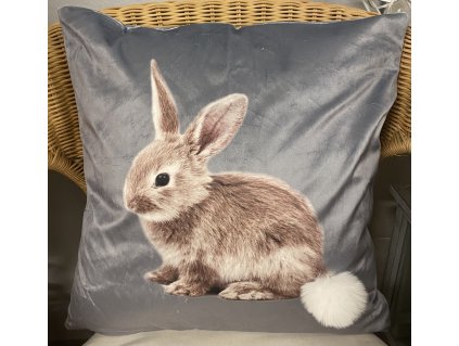 85D35F76 F0A8 4792 91B3 1F4B2C5E4E9C