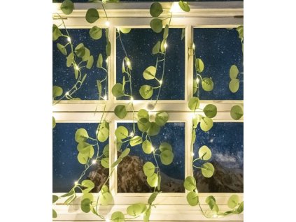 25B39C5E BBFD 4DE8 AD64 0FE2375FAED6