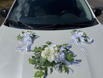 c9e097e5 00b6 4157 83a3 82c61fa913d9