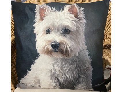 BA85B287 8C79 49E7 A592 1252B7C279E6