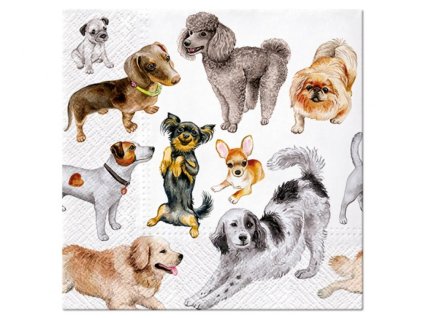 Ubrousky papírové PEJSCI 20ks