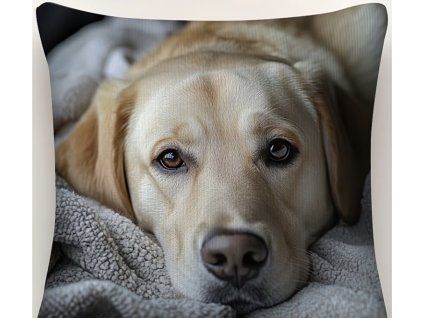 Polštář s náplní LABRADOR