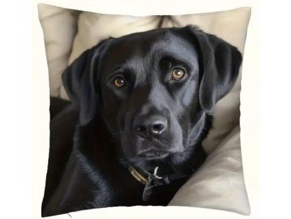 Polštář s náplní LABRADOR černý