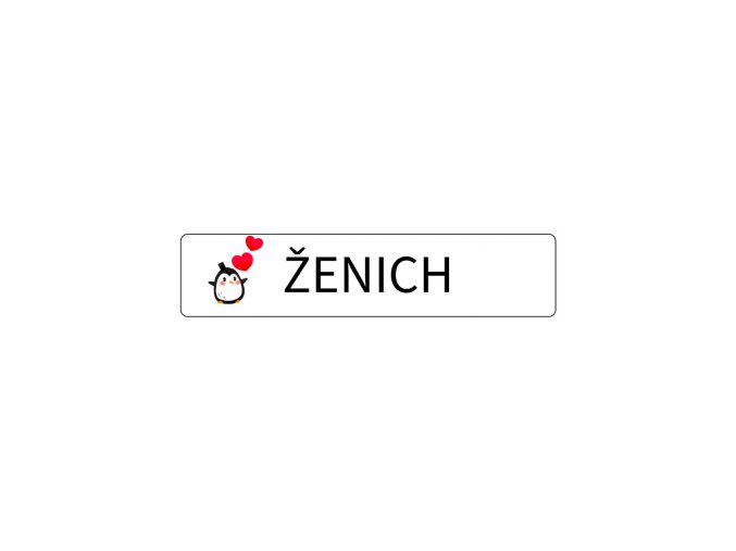 tn cedulka spz nevesta 9411 (4)