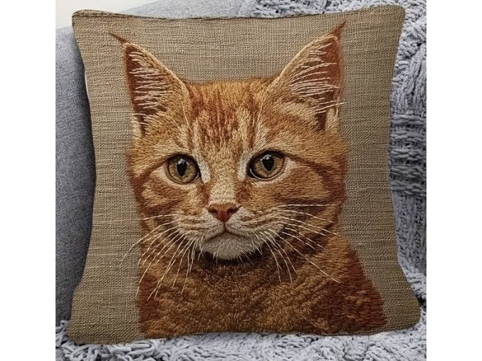 00FF4FEF 497A 4061 90A6 1268B462E60C