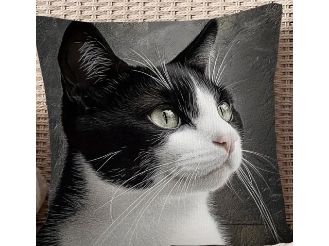 23FBBFFE 381F 44EA 99CC 96524EF7C012