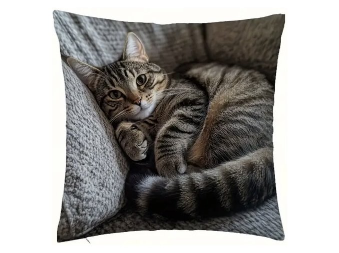 B7B16E7E B184 47A9 8A04 F07986F06252