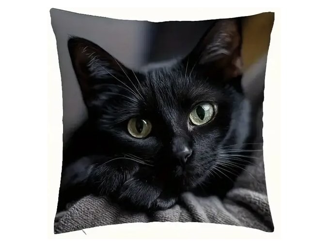 0F33C2D7 80BC 456F 82DF DC034184485C