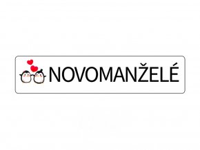 8239 1 svatebni cedulka spz novomanzele tucnacci spz na svatebni auto