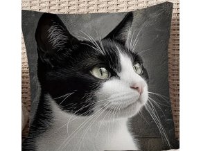 23FBBFFE 381F 44EA 99CC 96524EF7C012