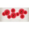big RPB1 007 02 S