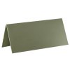 3013 103 olive