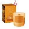 2730 2730 pumpkin spice 150g sviecka v skle bartek