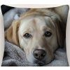 Polštář s náplní LABRADOR