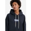 Dámska mikina LEVI'S® Graphic Caravan Hoodie A3397-0009