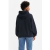 Dámska mikina LEVI'S® Graphic Caravan Hoodie A3397-0009