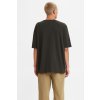 Pánske tričko LEVI'S® Skateboarding Graphic Boxy Tee A1005-0000
