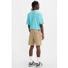 Pánske kraťasy Levi's® Skate Loose Chino Shorts A4323-0001