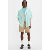 Pánske kraťasy Levi's® Skate Loose Chino Shorts A4323-0001