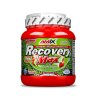 Amix RRecoveryMax 575g