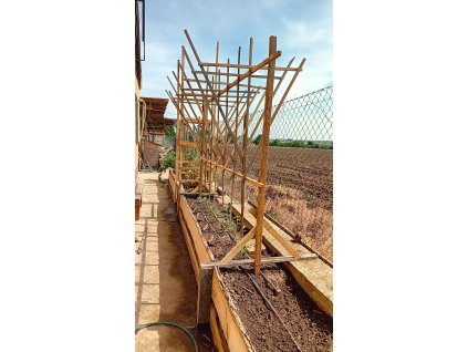 Treláž na pnoucí rostliny VZA z akátového dřeva - ručně vyrobená - D21