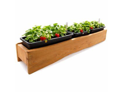 ChatGPT Image 2. 4. 2026 16 32 33