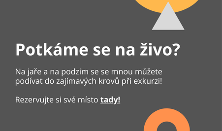 Exkurze