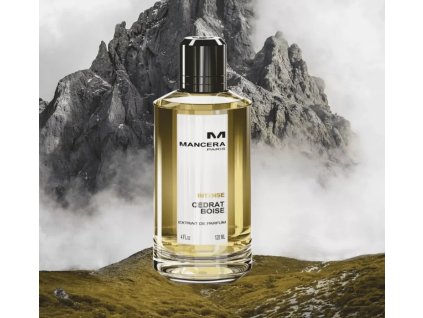 Snímek obrazovky 13 11 2024 8556 www.bing.com