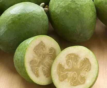 feijoa