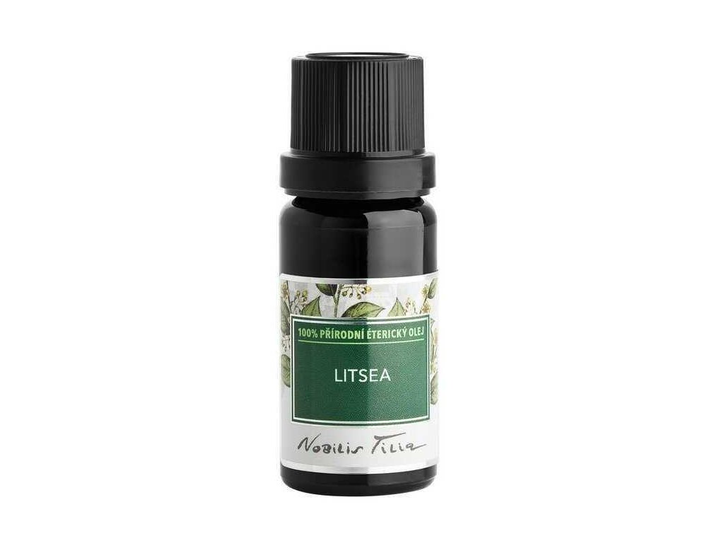 Litsea Nobilis Tilia