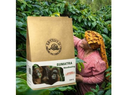 Sumatra Mandheeling Kávičkovo